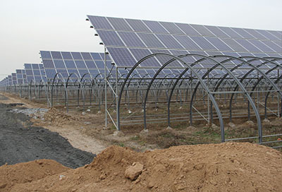 山西運城：芮城全面鋪開光伏領跑技術基地建設