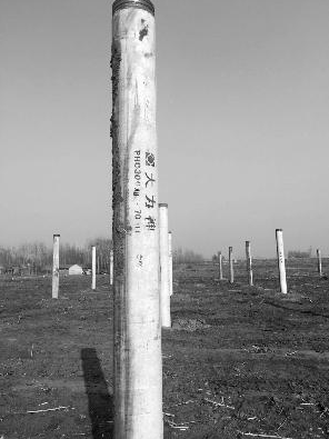 “以次充好”，國家級光伏項目驚現李鬼