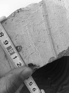 “以次充好”，國家級光伏項目驚現李鬼