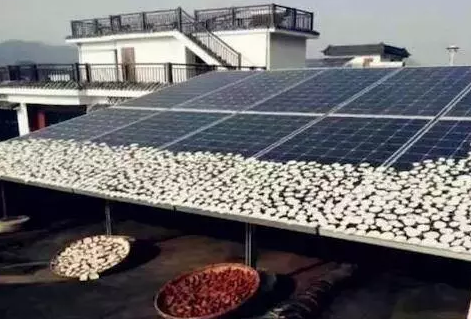 光伏電站收益掉一半?學(xué)會三招直往上!