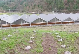 準(zhǔn)扶貧看光伏，生態(tài)農(nóng)業(yè)助力農(nóng)村大發(fā)展