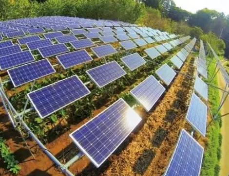 一塊土地 兩份收入!還是光伏農業最靠譜!