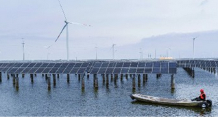 “水務+光伏”，漁光一體效益雙贏