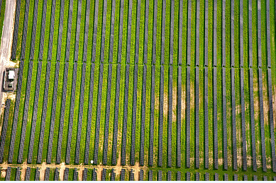 2017年能源監管清單明確 對光伏的好壞參半，影響不一