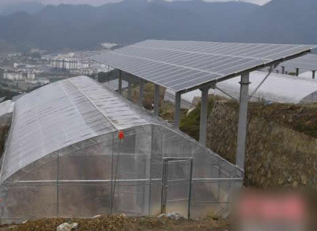 云南光伏農業發展項目 實現造血式扶貧