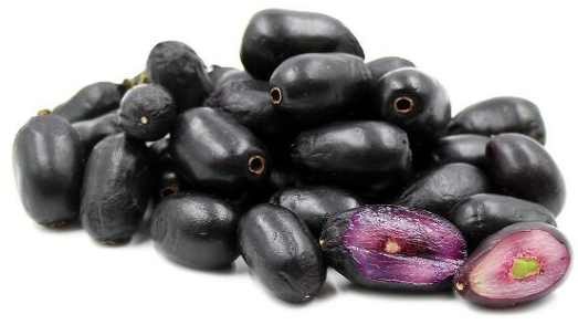 聽說(shuō)了嗎！這種印度水果竟然能制造低成本太陽(yáng)能電池