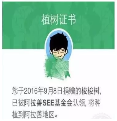 從任志強的發言看光伏科普任重道遠