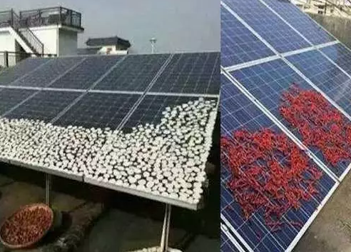 農村光伏電站致命殺手是遮擋，這幾樣遮擋萬萬要不得！