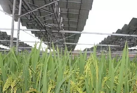 夏季能提高光伏電站發電量不假，但也會降低發電量！用戶該怎么辦？