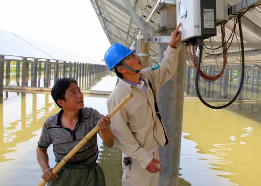 安裝了光伏電站后，居然讓60畝蟹塘從虧損到年入百萬！