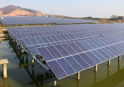 安裝了光伏電站后，居然讓60畝蟹塘從虧損到年入百萬！