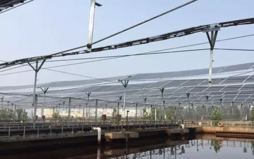 污水廠聯姻“光伏”