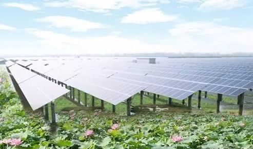 這個農業項目未來5年市場規模上萬億,普通創業者能做嗎?要怎么做?