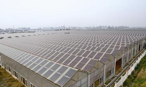 為什么光伏農業大棚備受追捧？主要有這幾大方面原因