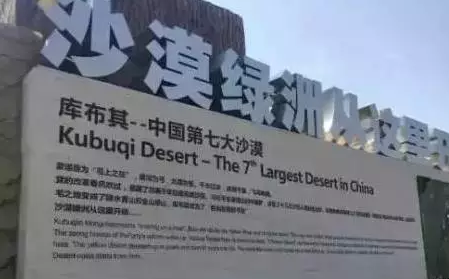 光伏板下搞養殖拼出“沙漠綠洲” 給21億人帶來希望！