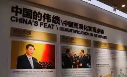 光伏板下搞養殖拼出“沙漠綠洲” 給21億人帶來希望！