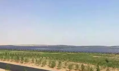 光伏板下搞養殖拼出“沙漠綠洲” 給21億人帶來希望！