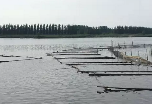 濟(jì)寧光伏領(lǐng)跑者基地930并網(wǎng)或基本無望，領(lǐng)跑者前期基地規(guī)劃需慎重