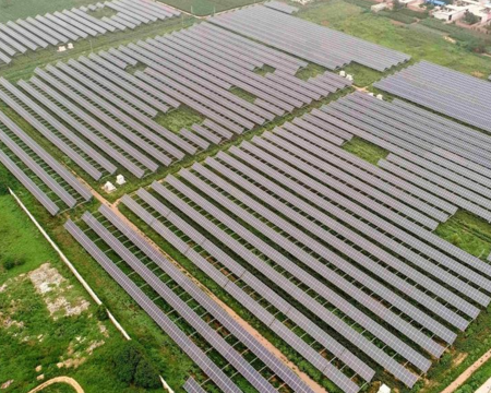 河北任縣：農光互補扶貧光伏項目造福百姓（組圖）