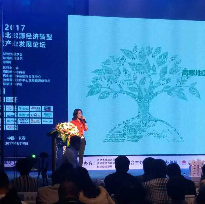 高寒地區(qū)挑戰(zhàn)多?分布式項目光伏逆變器的可靠性是關(guān)鍵!