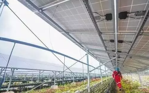 光伏農業——最新經濟熱點，遍地機遇你抓住了嗎？