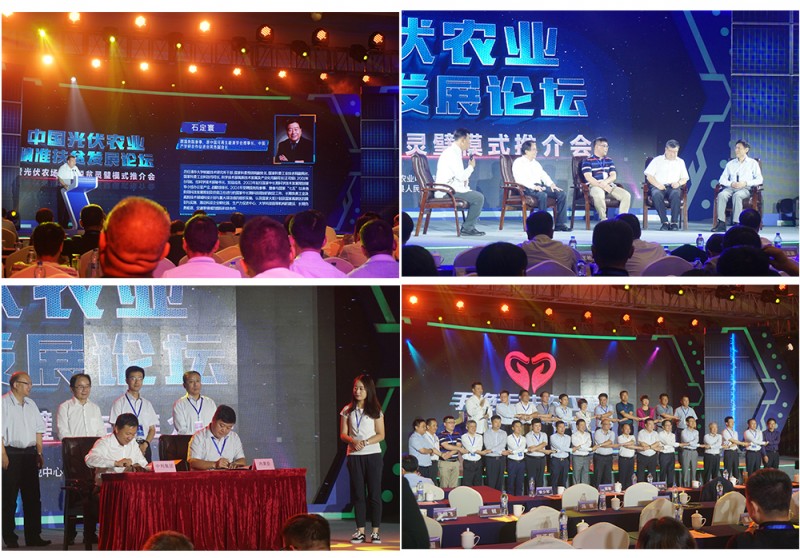 中國光伏農業精準扶貧發展論壇暨騰暉光伏農業精準扶貧靈璧模式推介會