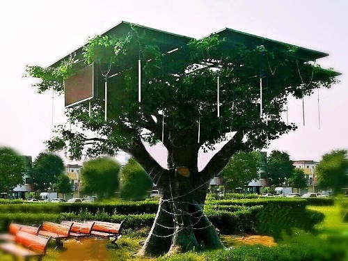 “光伏樹”問世，但農村市場會買單嗎？