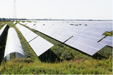 光伏農業項目開啟共贏模式