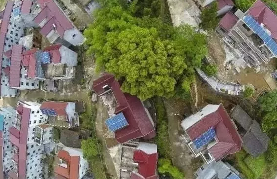 國(guó)網(wǎng)接入光伏扶貧電站9003兆瓦,惠及138.5萬(wàn)家庭