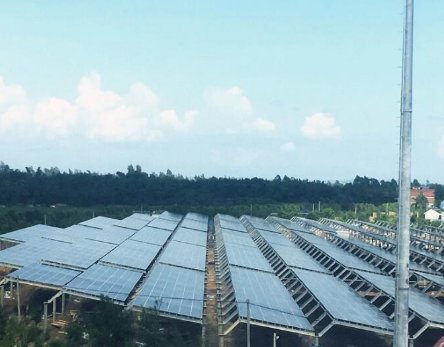 一期45MW!廣西首個海水漁光互補光伏電站并網發電
