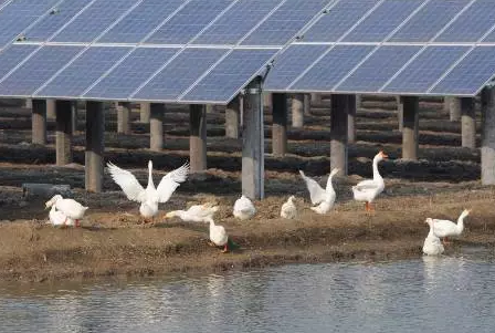 2017”光伏下鄉“開啟了萬億級光伏市場!