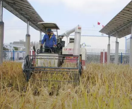 2017”光伏下鄉“開啟了萬億級光伏市場!