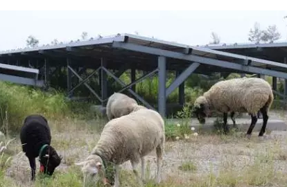 2017”光伏下鄉“開啟了萬億級光伏市場!