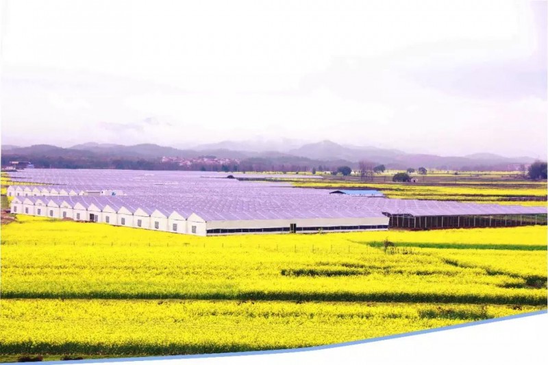 江西樂平市20MW農業大棚光伏項目