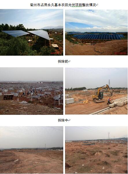 浙江拆除占用基本農田光伏項目289.41畝