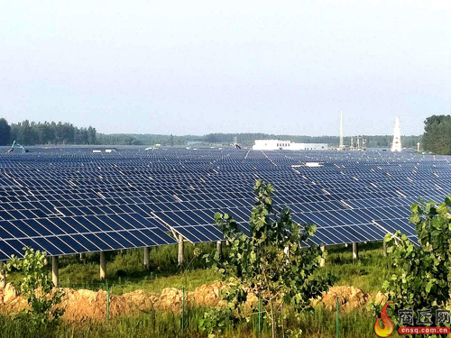 打造生態光伏特色小鎮 河南張集鎮的致富經