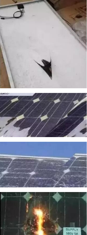 戶用光伏市場該如何選擇光伏組件？