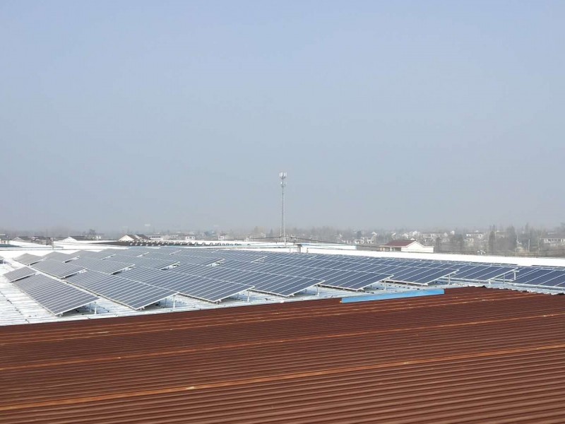 村集體每年“借光增收”10多萬 揚州光伏扶貧為經濟薄弱村“造血”