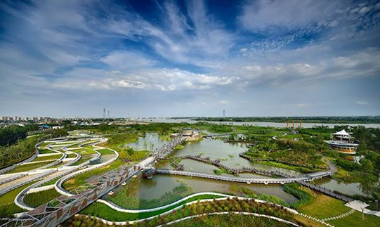 百家知名光伏企業集聚揚中,探討商業合作模式,推動綠色能源發展