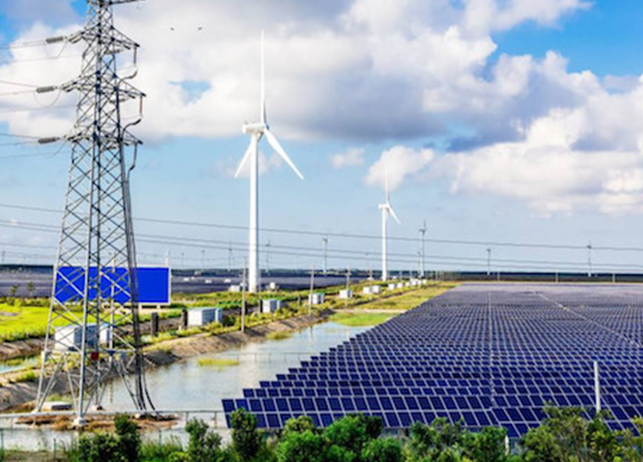 百家知名光伏企業集聚揚中，探討商業合作模式，推動綠色能源發展