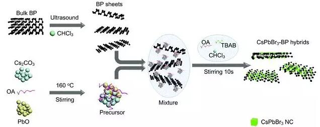 研究人員成功制備鈣鈦礦/黑磷低維復合納米材料