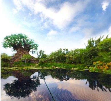 太陽能樂園來了!華特迪士尼將建50MW光伏電站