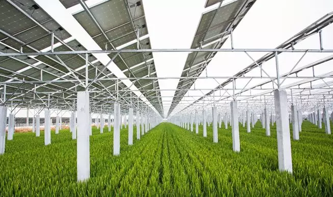 中利集團—騰暉光伏將出席「2018戶用光伏創新論壇暨光伏扶貧研討會•安徽站」