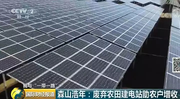 中國央企用光伏帶日本農民致富！10倍租金盤活荒廢農地