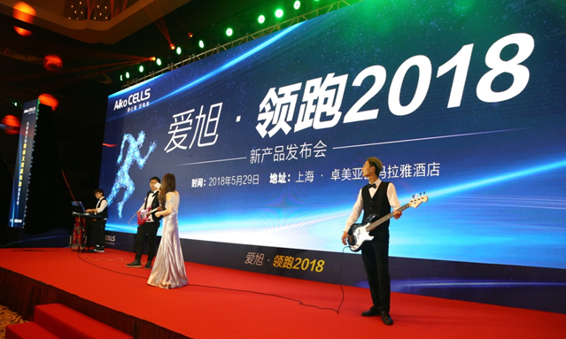 愛旭半片、疊片電池助力平價上網