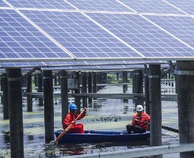 浙江長興:光伏板下養(yǎng)小龍蝦 “一地兩用”收益多