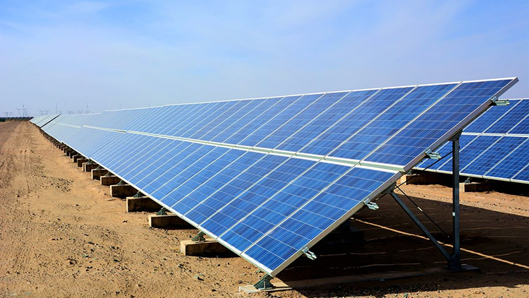 近日，中廣核樂陵農光互補扶貧協(xié)作項目通過省、市專家組現(xiàn)場驗收，實現(xiàn)并網發(fā)電。