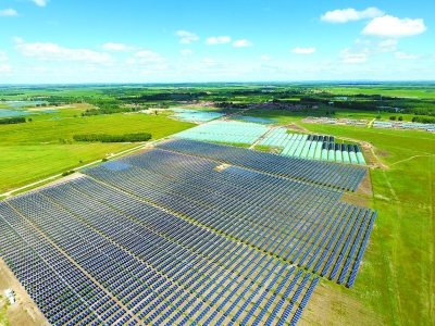 “鐵桿莊稼”：頂上發電 地上養牛
