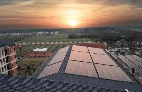 綠色低碳理念從娃娃抓起!看上海這所學(xué)校如何做到每年植樹6000棵?