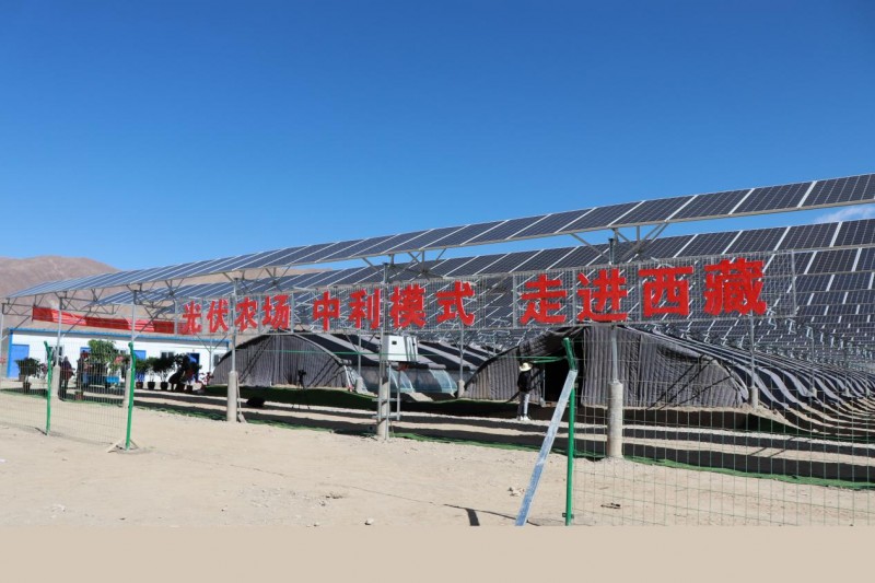 中利集團(tuán):“貧困村光伏農(nóng)場(chǎng)”惠及西藏深度貧困地區(qū)